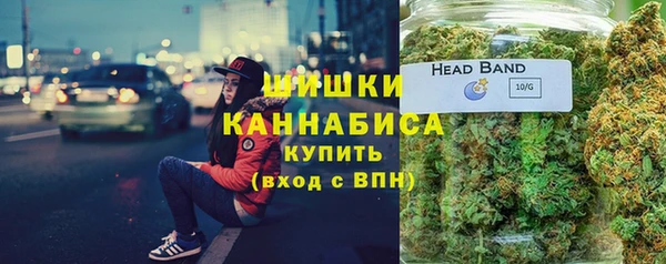 метадон Белокуриха