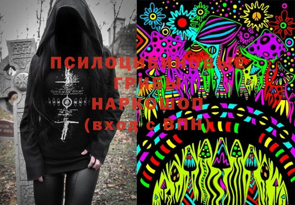 метадон Белокуриха