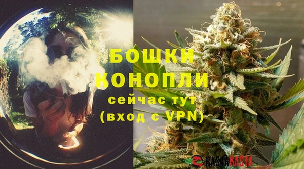 метадон Белокуриха