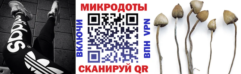 закладка Волчанск Галлюциногенные грибы Psilocybe